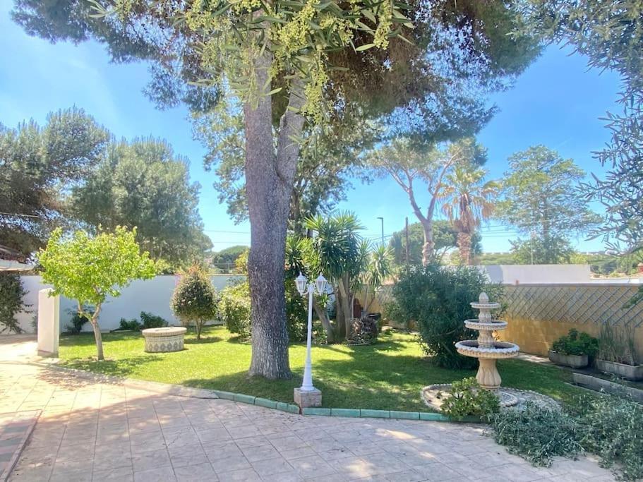 Marisma Home Chiclana de la Frontera Dış mekan fotoğraf